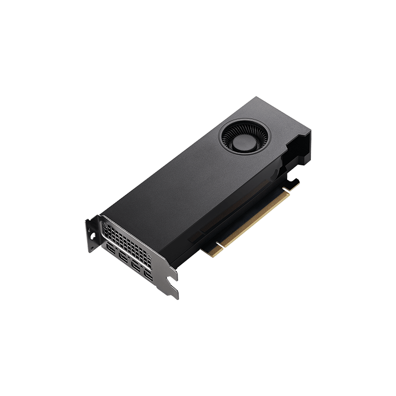 NVIDIA RTX A2000 - graphics card - RTX A2000 - 12GB