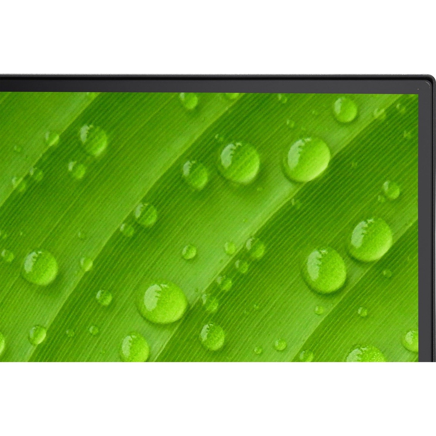 NEC Display AccuSync AS271F-BK 27" Class Full HD LCD Monitor - 16:9