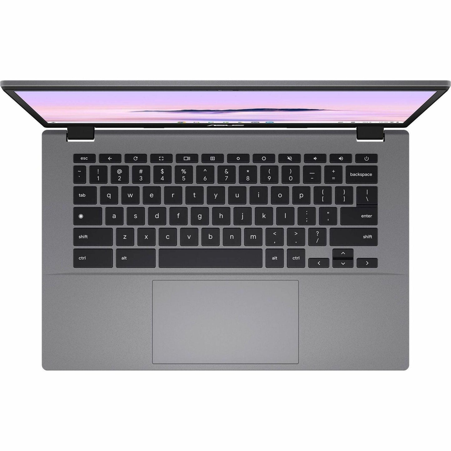 Asus (CX3402CBADH388GR) Notebooks (CX3402CBA-DH388-GR)