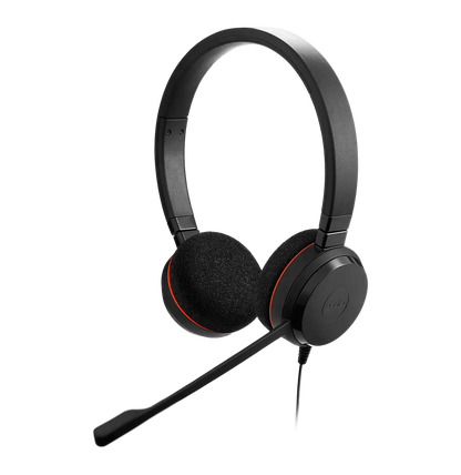 Casque-micro Jabra Evolve 20 MS Stereo - USB (4999-823-109)