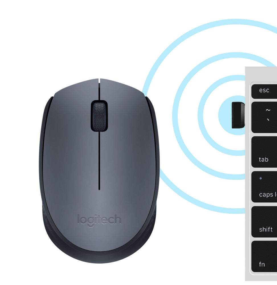 Logitech M170 Grey-K souris Ambidextre RF sans fil Optique (910-004642)