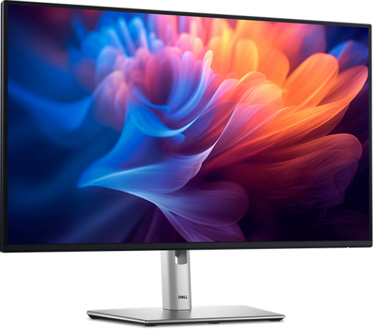 Dell 27 Monitor - P2725H, 68.6cm (27.0'') 36M (P2725H-3Y)